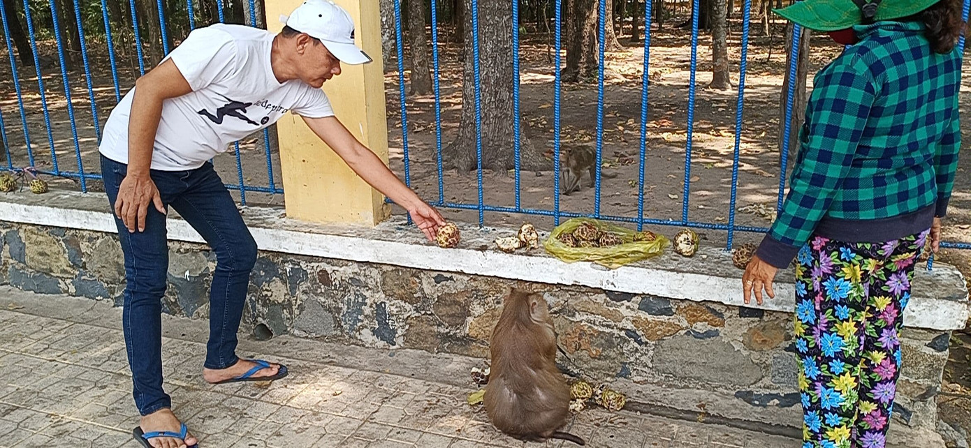 Vắng khách du lịch mùa dịch, bầy khỉ ở Tòa Thánh Tây Ninh đói ăn tràn ra đường ảnh 7