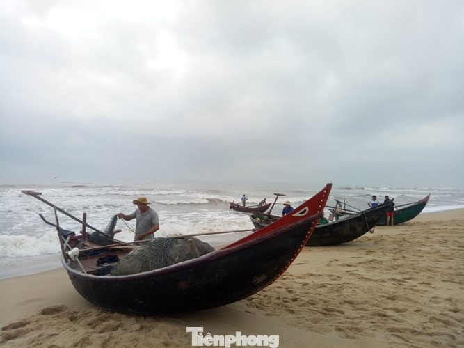 Ngư dân vượt sóng dữ kiếm ‘lộc trời’ ngày 30 Tết ảnh 2