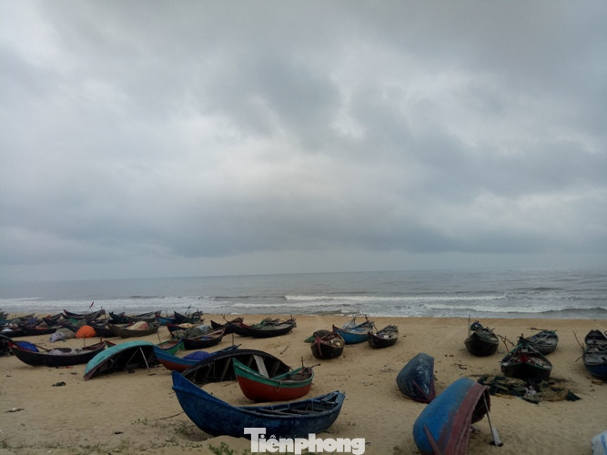 Ngư dân vượt sóng dữ kiếm ‘lộc trời’ ngày 30 Tết ảnh 9