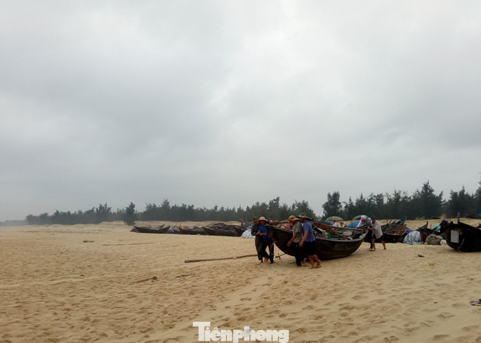 Ngư dân vượt sóng dữ kiếm ‘lộc trời’ ngày 30 Tết ảnh 1