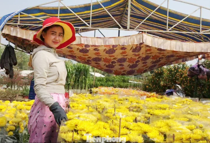 Mãn nhãn sắc Xuân trên đất Thủ ngày cận Tết ảnh 1