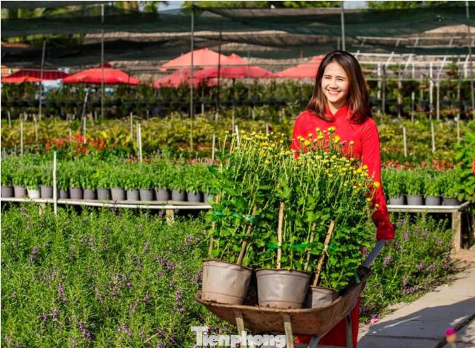 Mãn nhãn sắc Xuân trên đất Thủ ngày cận Tết ảnh 5
