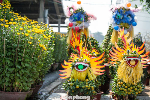 Mãn nhãn sắc Xuân trên đất Thủ ngày cận Tết ảnh 8