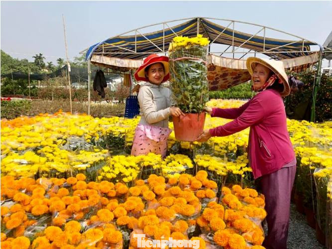 Mãn nhãn sắc Xuân trên đất Thủ ngày cận Tết ảnh 3