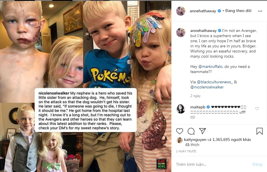 Loạt sao Hollywood ca ngợi cậu bé 6 tuổi liều mình cứu em khỏi chó dữ ảnh 2