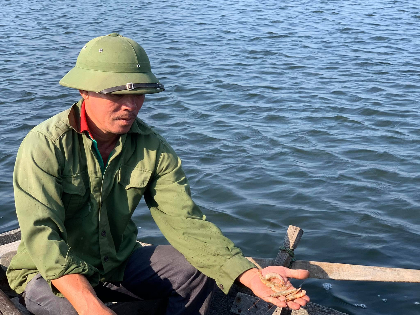 Dịch bệnh hoành hành, hàng chục ha tôm ở Nghệ An chết trắng ảnh 4