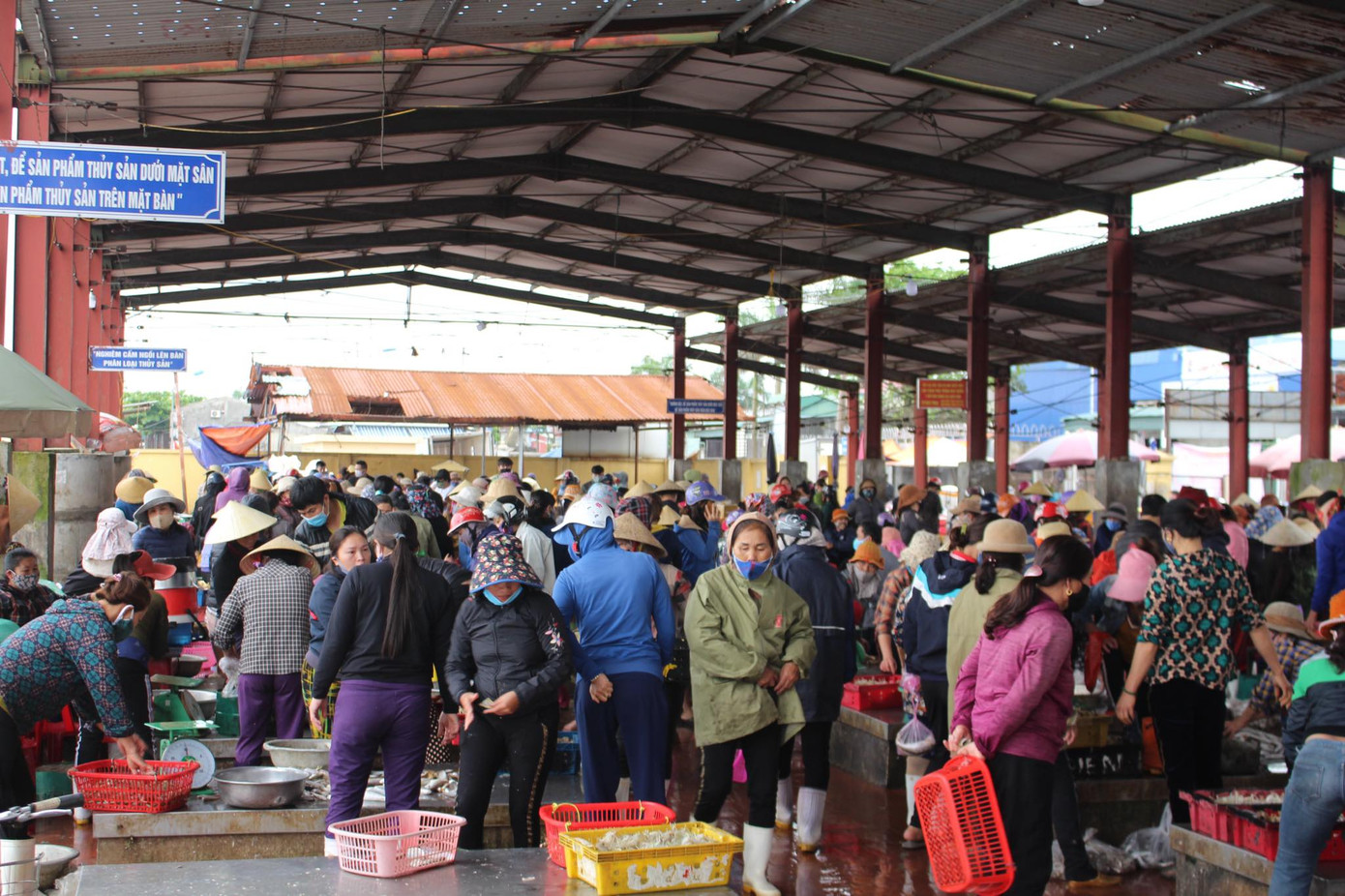 Cảng cá Lạch Vạn đông đúc, người dân thờ ơ với khẩu trang giữa đại dịch ảnh 6