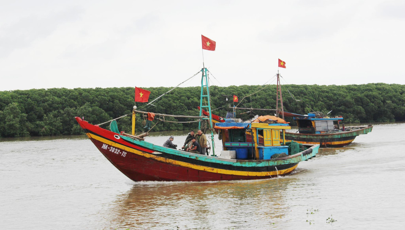 Cảng cá Lạch Vạn đông đúc, người dân thờ ơ với khẩu trang giữa đại dịch ảnh 1
