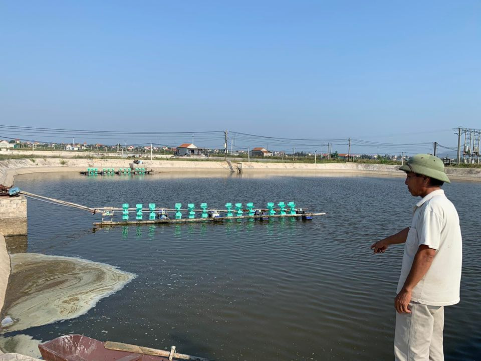 Dịch bệnh hoành hành, hàng chục ha tôm ở Nghệ An chết trắng ảnh 2