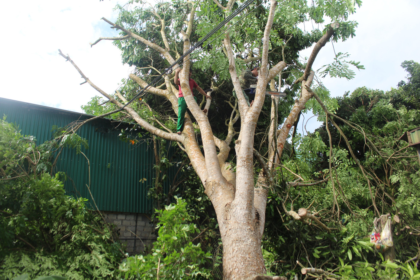 Mưa lớn, lốc xoáy kéo dài 30 phút, cả trăm ngôi nhà ở huyện miền núi Nghệ An bị tốc mái ảnh 2