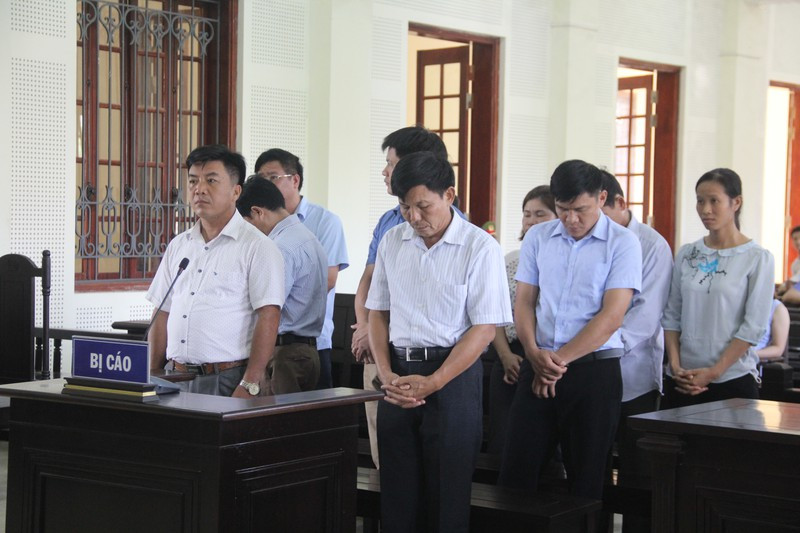 Phạt tù nhóm cán bộ quản lý rừng lập hồ sơ khống, 'bòn rút' hơn 5 tỉ đồng ảnh 2