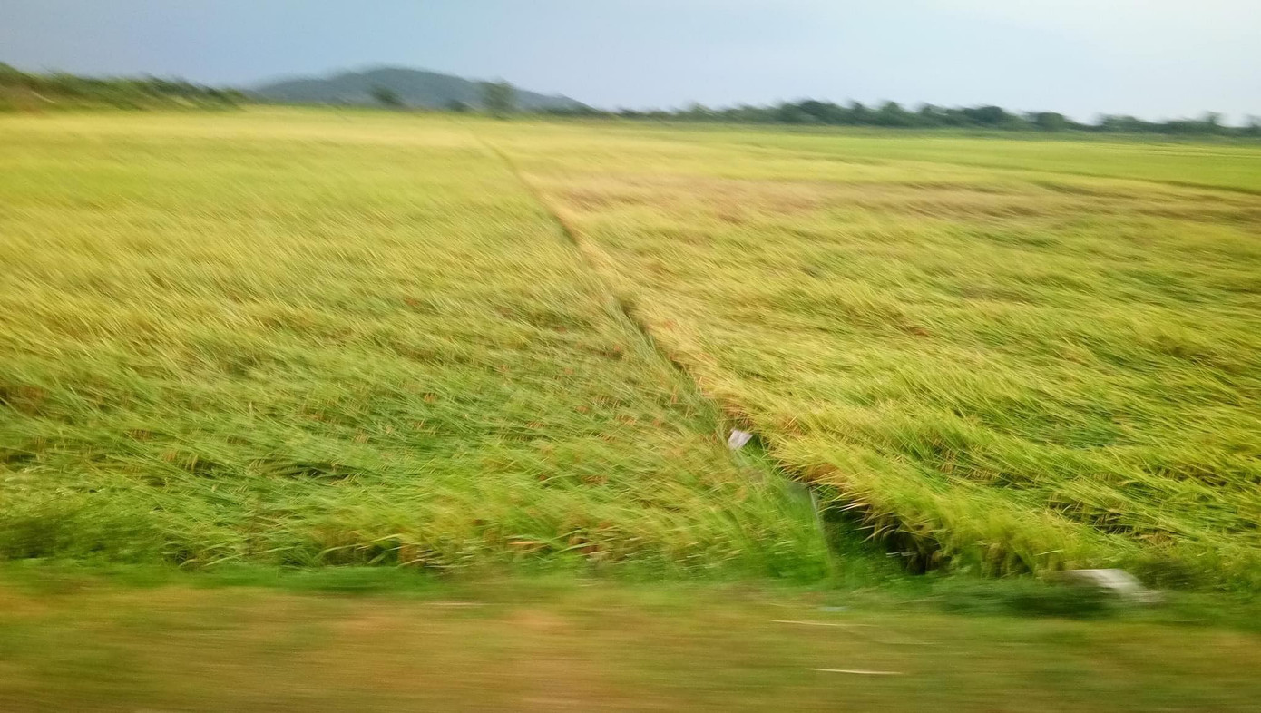 20 phút dông lốc cuốn bay nhiều nhà cửa, hoa màu ở Nghệ An ảnh 5