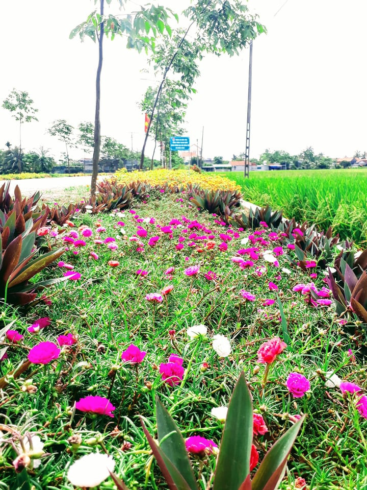 Sức trẻ Nghệ An từ những công trình thanh niên ảnh 7