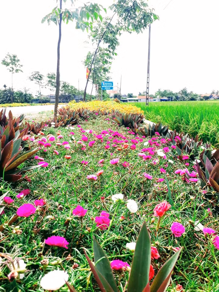 Sức trẻ Nghệ An từ những công trình thanh niên ảnh 7