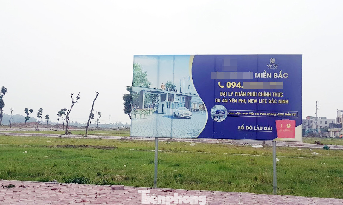 Năm 2021, siết chặt tình trạng phân lô bán nền tràn lan ảnh 1