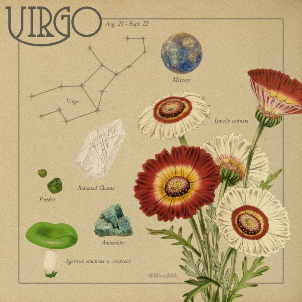 Lắng nghe thông điệp từ vũ trụ, khám phá biểu tượng thú vị về các chòm sao (Phần 2) ảnh 2