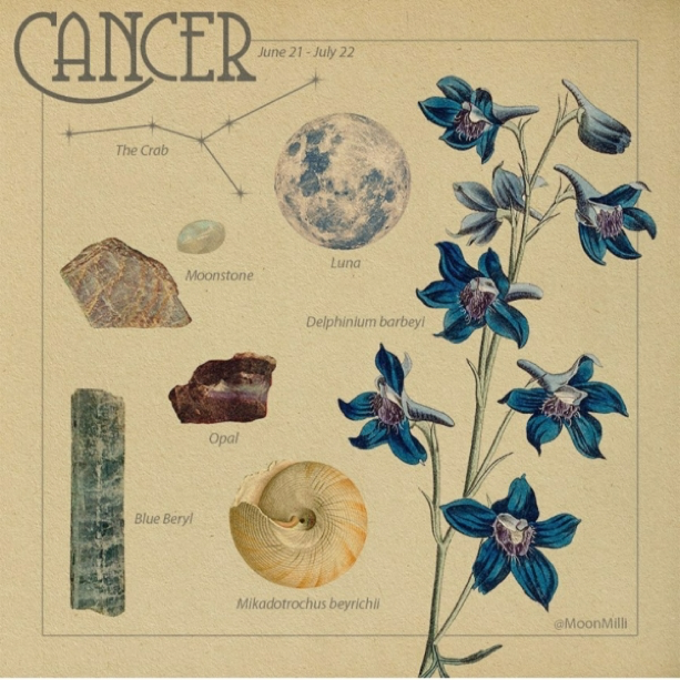 Lắng nghe thông điệp từ vũ trụ, khám phá biểu tượng thú vị về các chòm sao ảnh 3