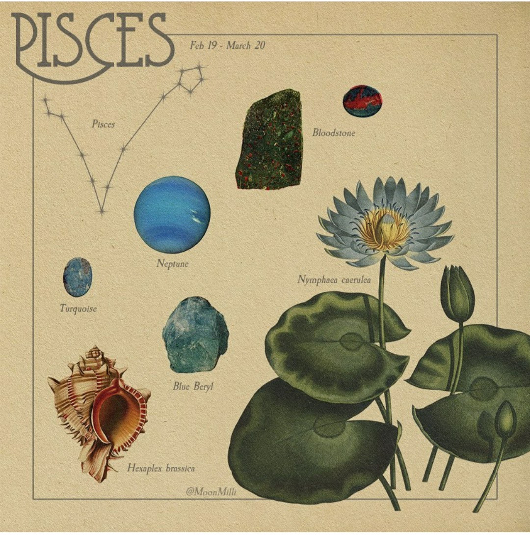 Lắng nghe thông điệp từ vũ trụ, khám phá biểu tượng thú vị về các chòm sao (Phần 3) ảnh 4