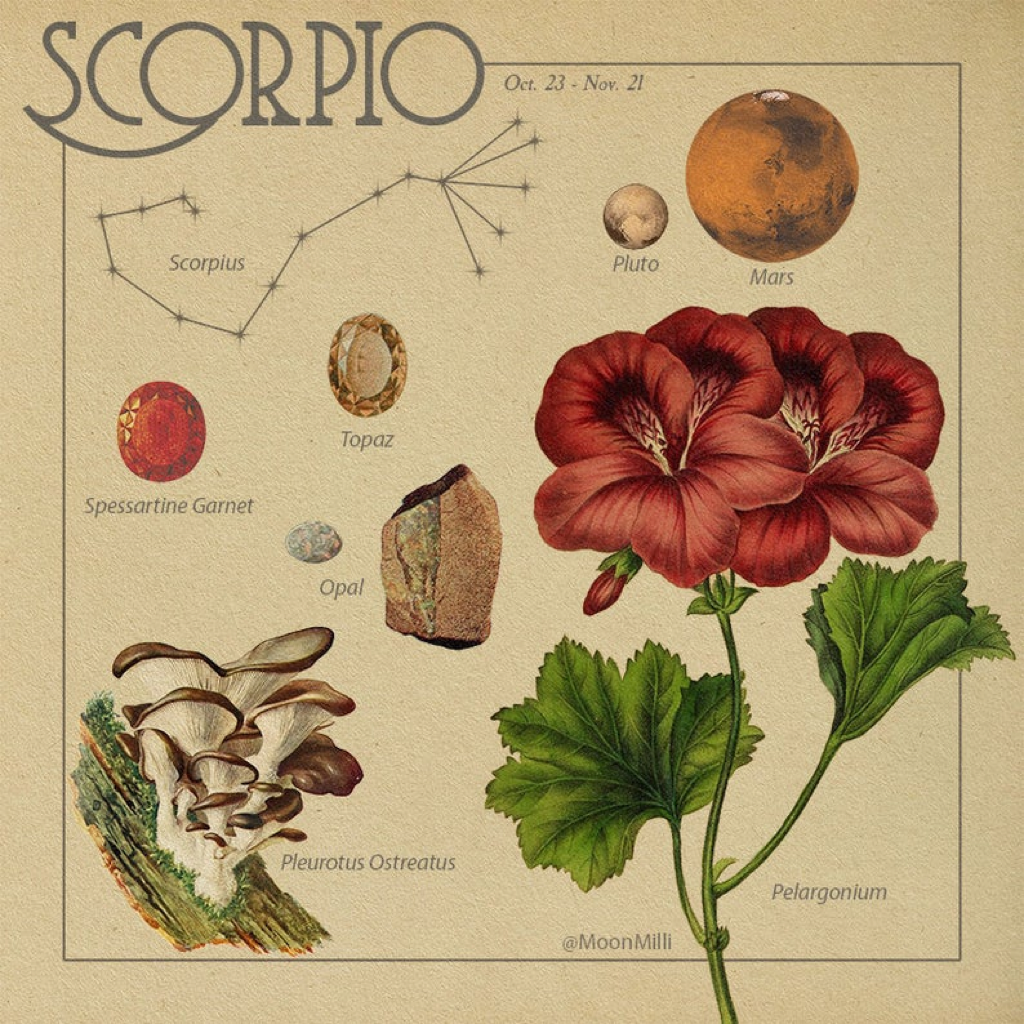 Lắng nghe thông điệp từ vũ trụ, khám phá biểu tượng thú vị về các chòm sao (Phần 2) ảnh 4