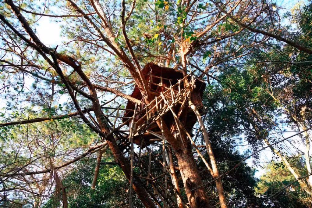 Ngày Quốc tế về Rừng: Trải nghiệm 5 ngôi nhà cây “độc nhất vô nhị” ở Việt Nam ảnh 3