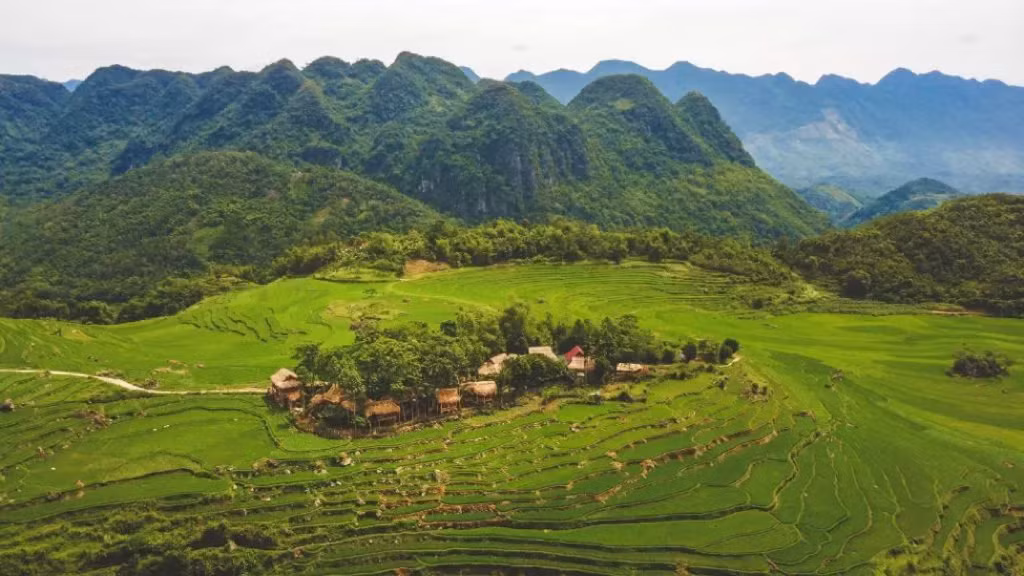 Ngày Quốc tế về Rừng: Trải nghiệm 5 ngôi nhà cây “độc nhất vô nhị” ở Việt Nam ảnh 1