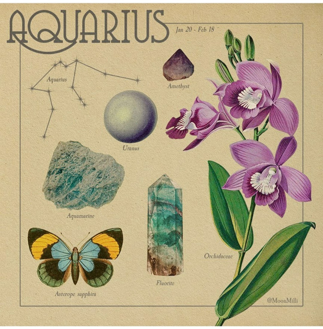 Lắng nghe thông điệp từ vũ trụ, khám phá biểu tượng thú vị về các chòm sao (Phần 3) ảnh 3