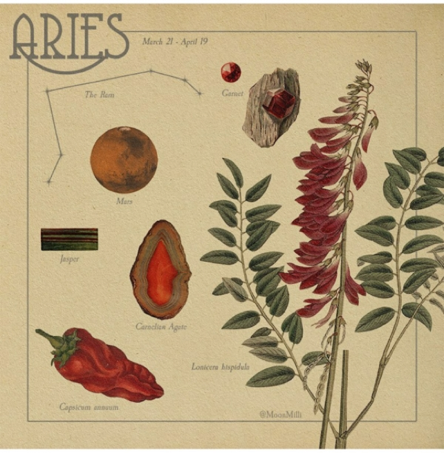 Lắng nghe thông điệp từ vũ trụ, khám phá biểu tượng thú vị về các chòm sao ảnh 1