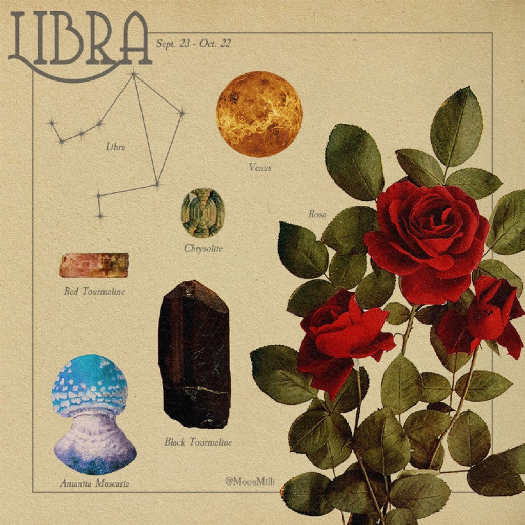 Lắng nghe thông điệp từ vũ trụ, khám phá biểu tượng thú vị về các chòm sao (Phần 2) ảnh 3