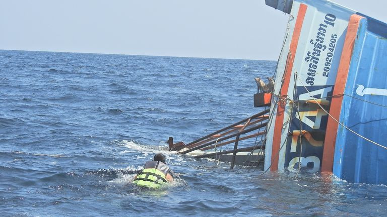 Thái Lan: Netizen “tan chảy” vì hành động giải cứu 4 chú mèo khỏi tàu chìm của hải quân ảnh 2