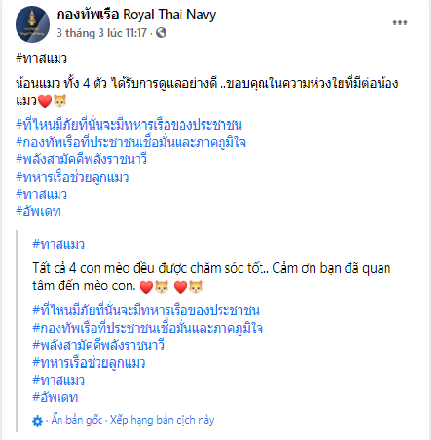 Thái Lan: Netizen “tan chảy” vì hành động giải cứu 4 chú mèo khỏi tàu chìm của hải quân ảnh 5
