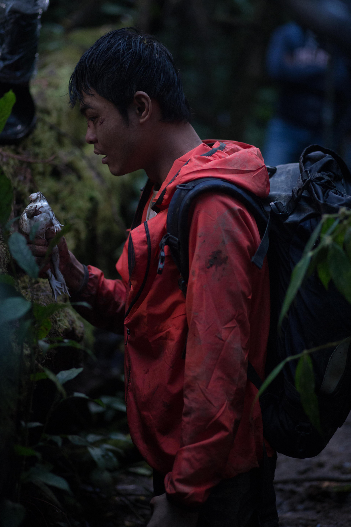 Phim sinh tồn “Rừng thế mạng” tung poster chính thức, đột ngột dời lịch chiếu ảnh 3