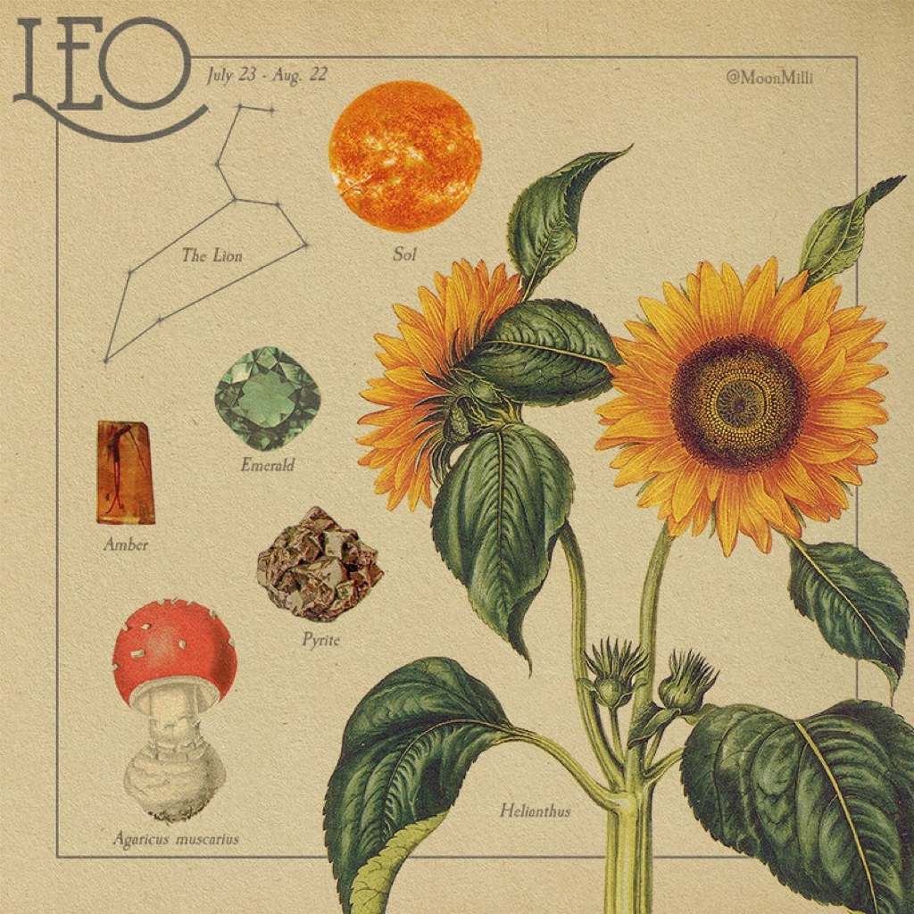 Lắng nghe thông điệp từ vũ trụ, khám phá biểu tượng thú vị về các chòm sao (Phần 2) ảnh 1