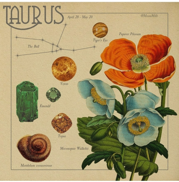 Lắng nghe thông điệp từ vũ trụ, khám phá biểu tượng thú vị về các chòm sao ảnh 2