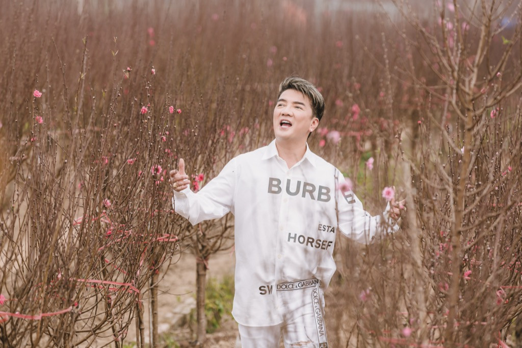 Đàm Vĩnh Hưng diện áo dài in hình Hoài Linh, Mỹ Tâm đi khắp 3 miền làm MV Tết ảnh 1