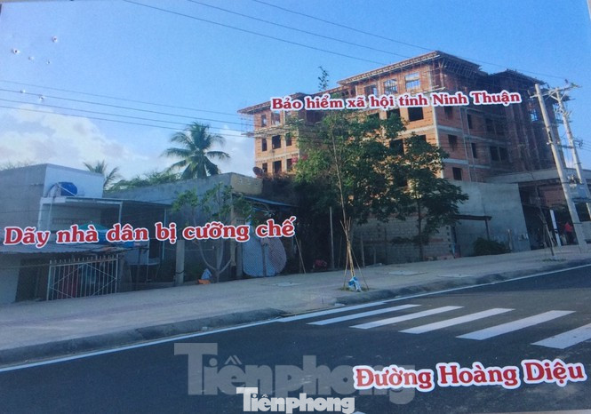 Ninh Thuận cưỡng chế đất bán đấu giá giữa dịch COVID - 19 ảnh 4