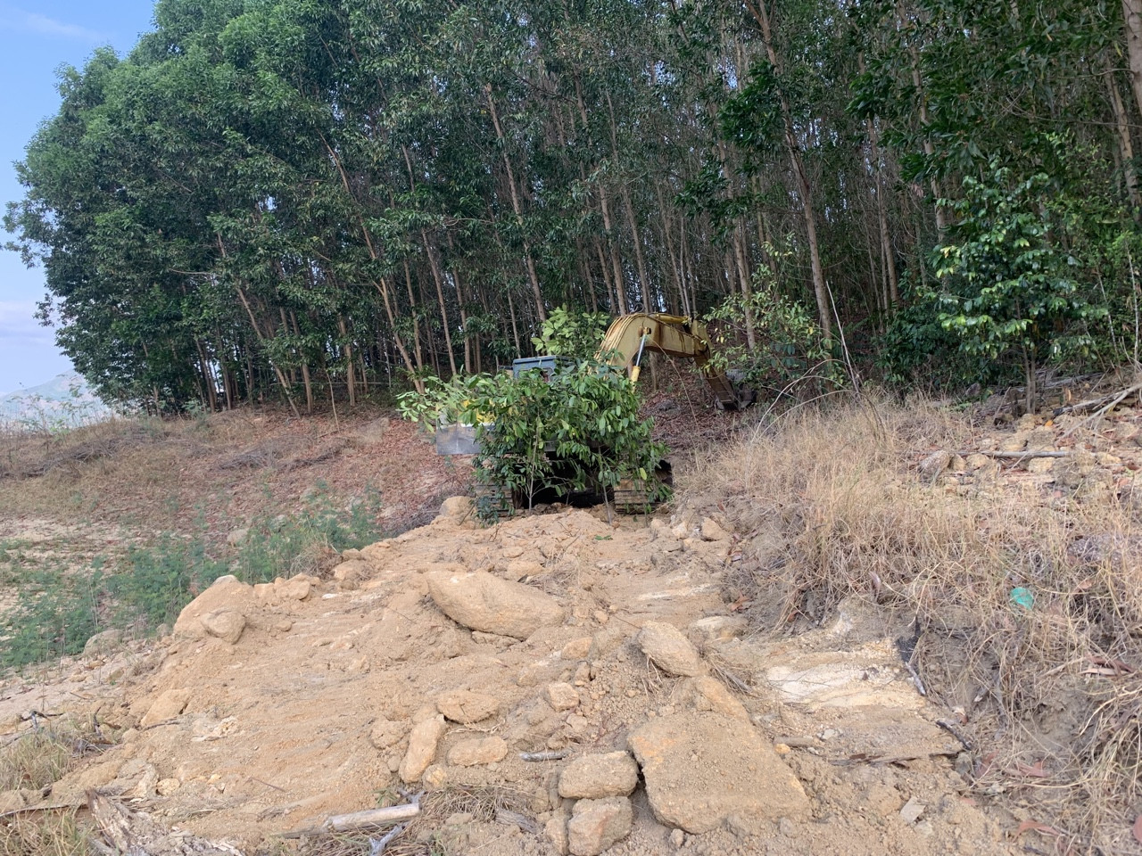 Hồ thuỷ lợi Khánh Hoà tan hoang vì 'cát tặc' ảnh 10