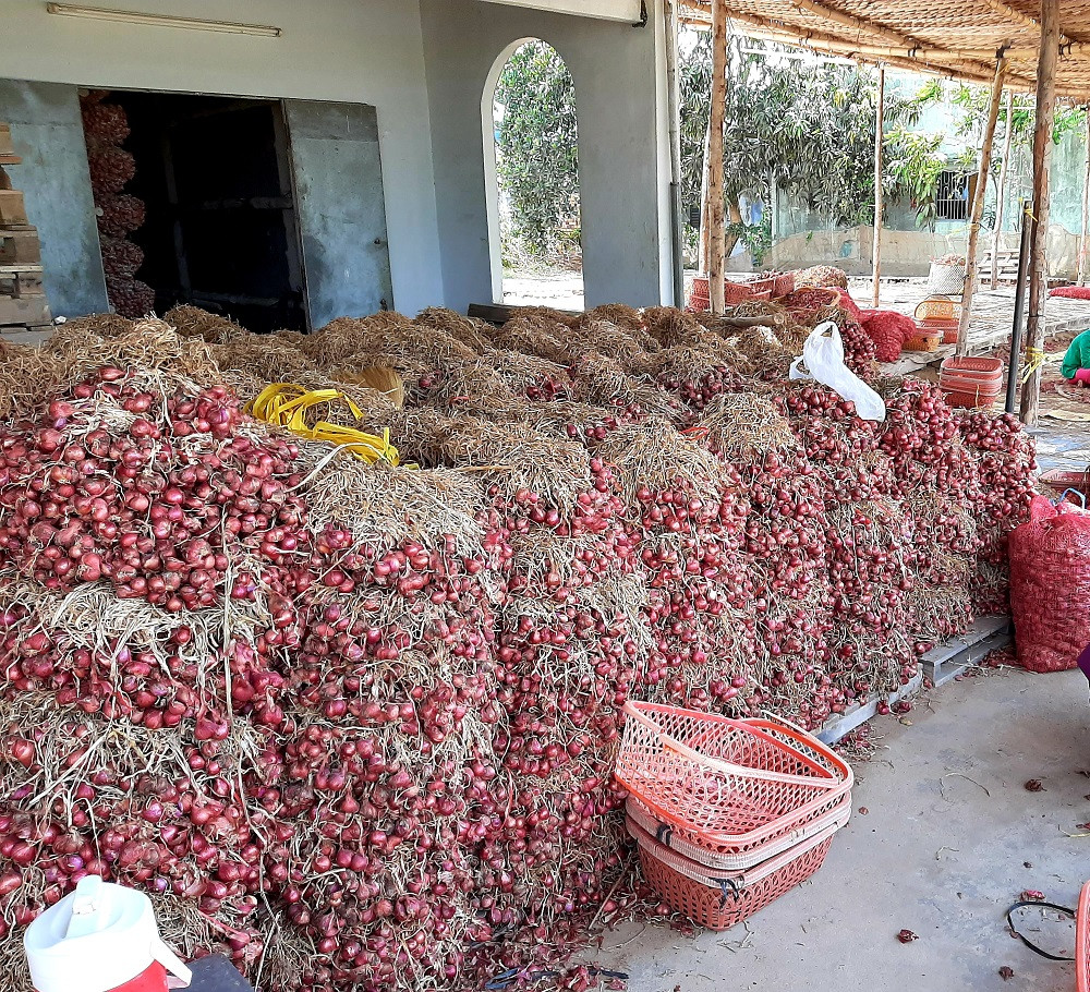 Trao quyền sử dụng chỉ dẫn địa lý cho đặc sản hành tím ảnh 2