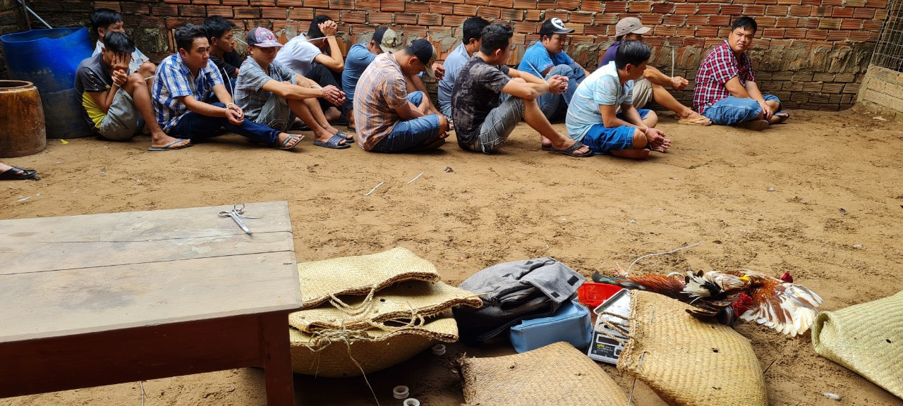 Bắt ‘trùm đá gà’ Cần Thơ, thu hơn 800 triệu đồng ảnh 1