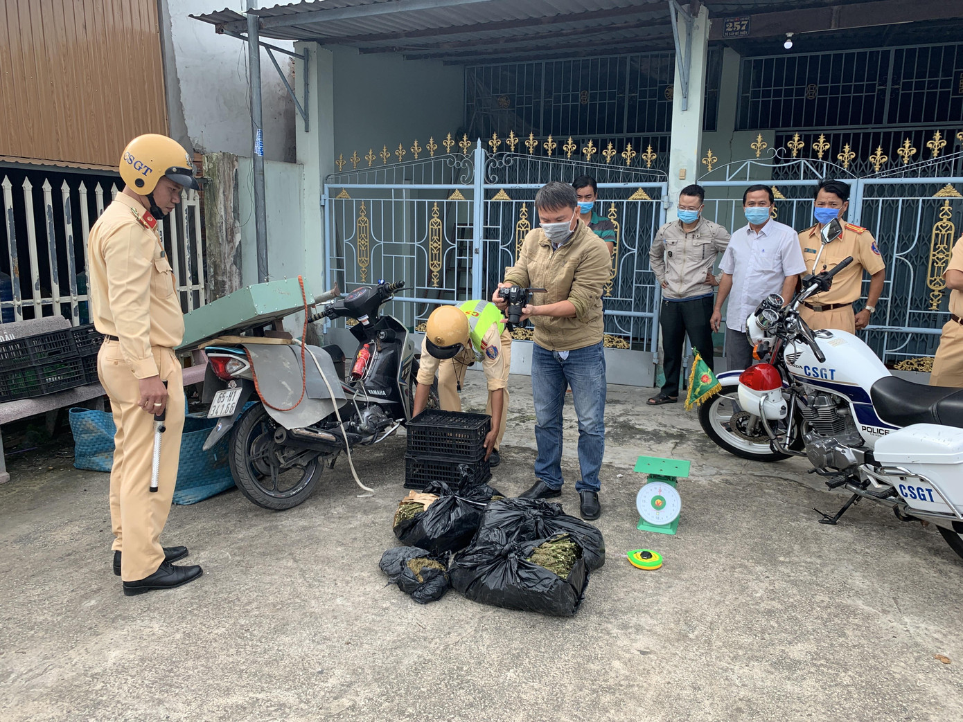 Bắt giữ hàng chục kg thảo mộc nghi là cần sa ảnh 2