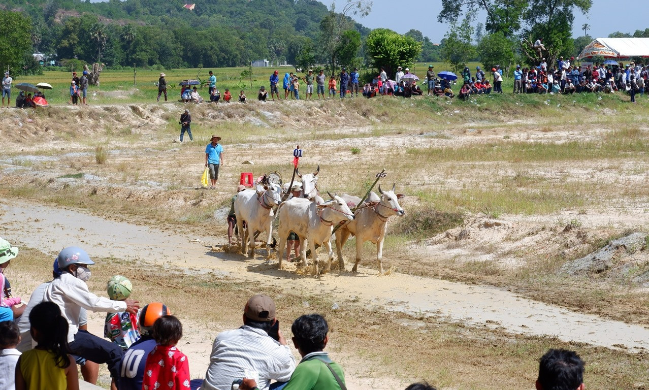 90 phi công hội dù lượn 'bay trên Phụng Hoàng Sơn' ảnh 6