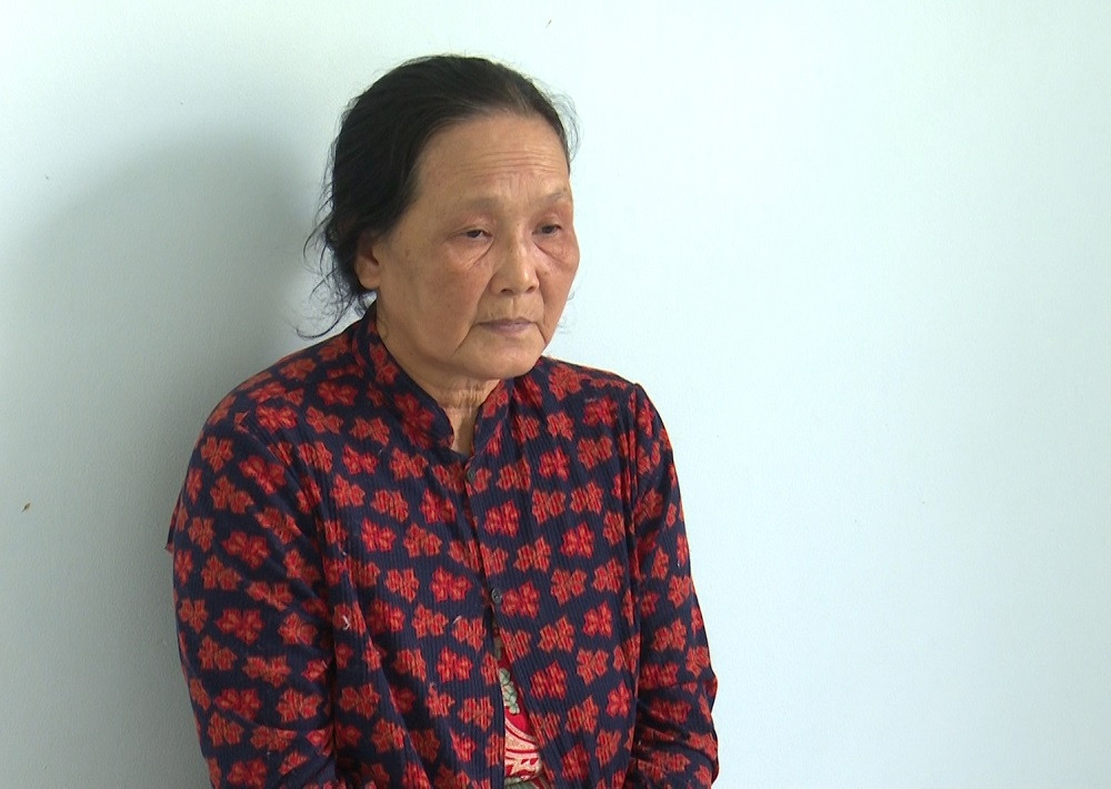 Người đàn bà U70 giật dây chuyền bé 2 tuổi ảnh 1