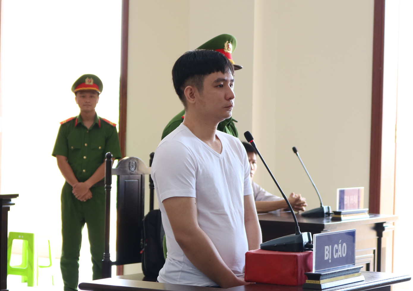 Kĩ sư lừa ‘chạy việc’ cho bạn để chiếm đoạt tiền lĩnh 13 năm tù ảnh 1