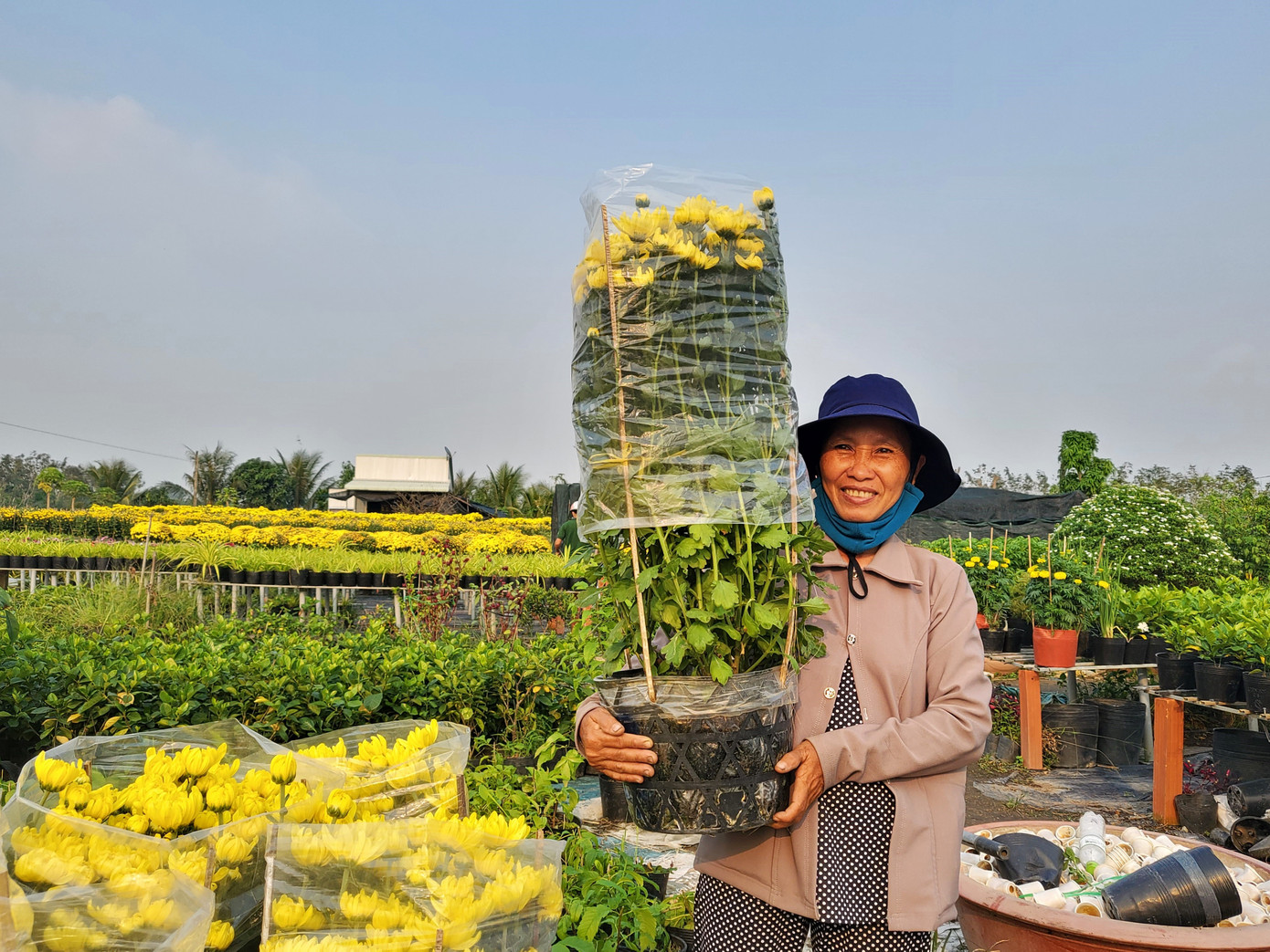 Tết rộn ràng ở thủ phủ hoa miền Tây ảnh 10