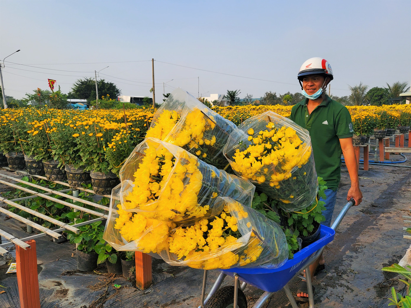 Tết rộn ràng ở thủ phủ hoa miền Tây ảnh 13