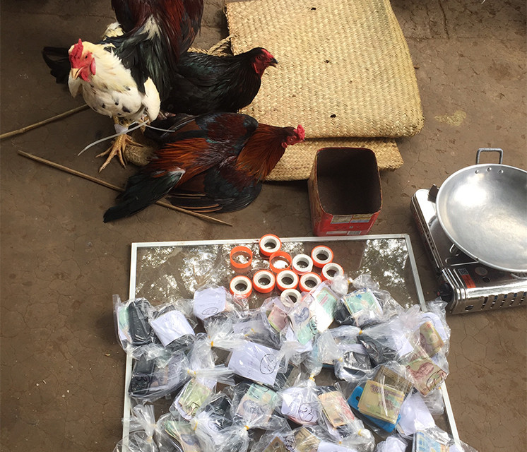 Ra bãi đất cạnh chòm mã đá gà, 37 đối tượng bị bắt ảnh 1