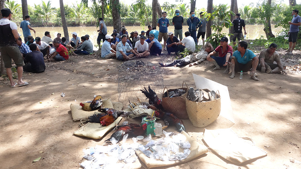 Công an đột kích trường gà, hàng chục con bạc bỏ chạy tán loạn ảnh 2