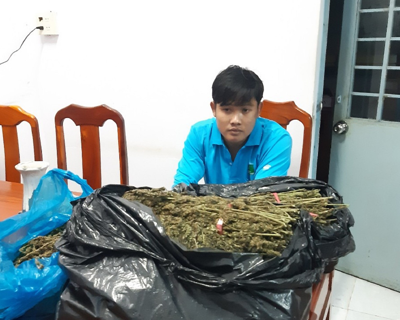 Bắt giữ hàng chục kg thảo mộc nghi là cần sa ảnh 1