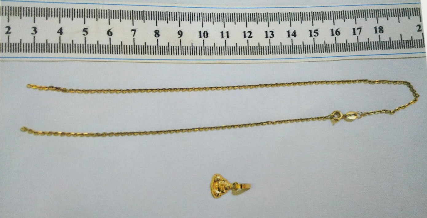 Người đàn bà U70 giật dây chuyền bé 2 tuổi ảnh 2