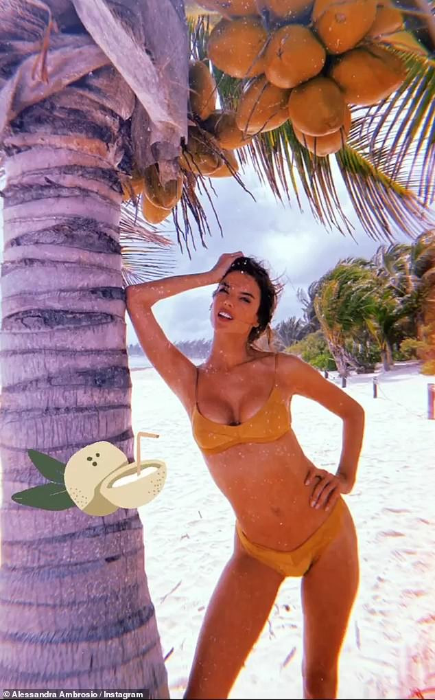 Alessandra Ambrosio quyến rũ gây mê với loạt ảnh khoe vòng 1 căng đầy ảnh 3