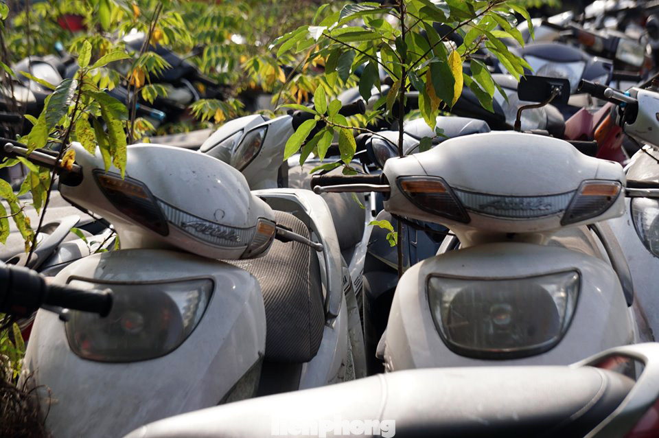 Porsche, Lexus... tiền tỷ phủ bụi, 'bỏ xó' trong bãi giữ xe ở Hà Nội ảnh 3